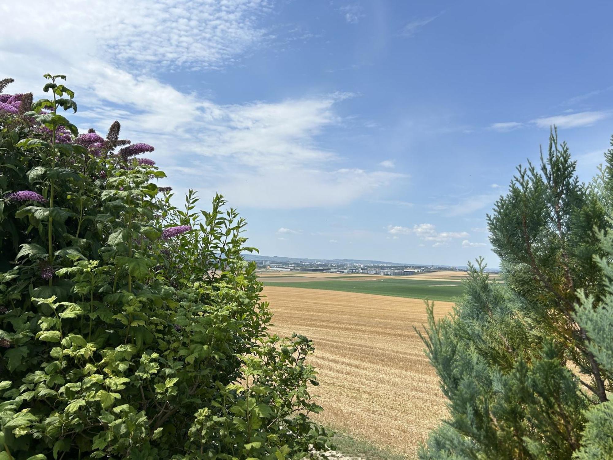 Le Charme Cernay-les-Reims Exterior foto