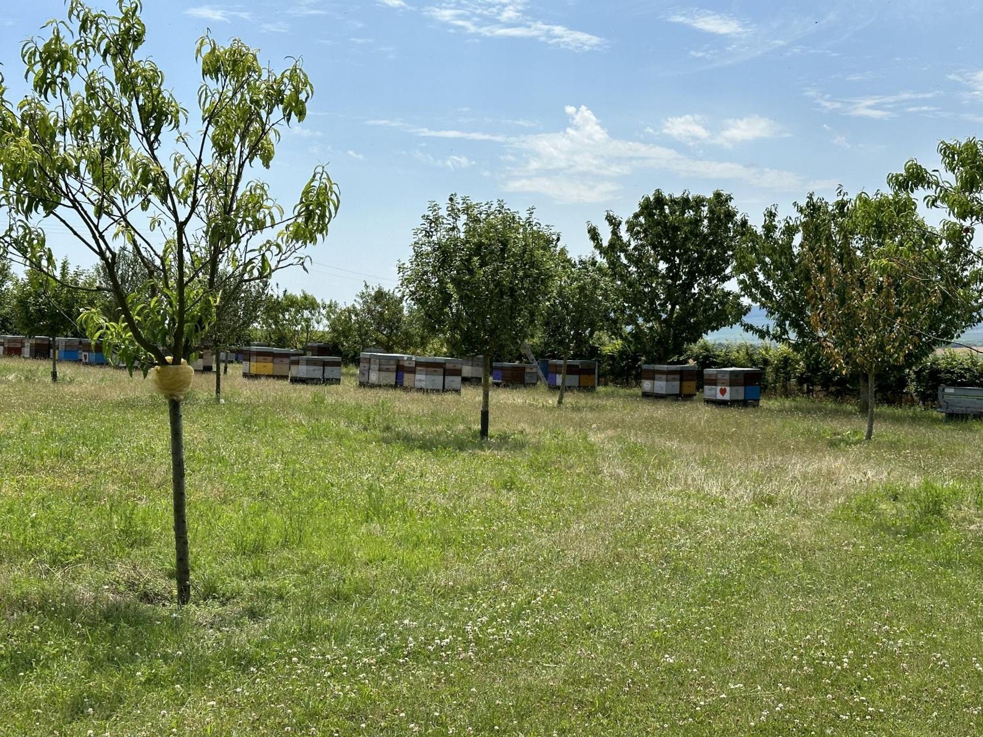 Le Charme Cernay-les-Reims Exterior foto